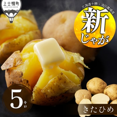 北海道産 新じゃが きたひめ 5kg 上士幌町 須田農場 野菜 じゃがいも