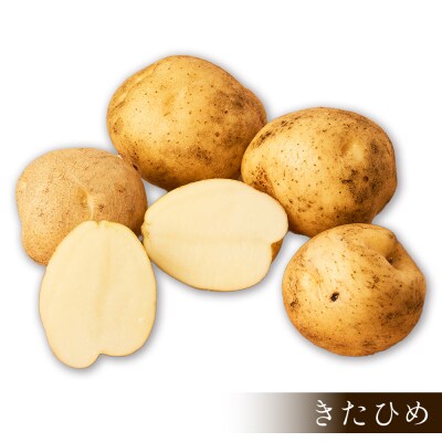 北海道産 新じゃが きたひめ 5kg 上士幌町 須田農場 野菜 じゃがいも