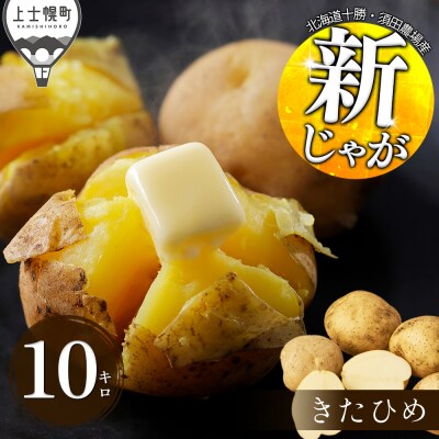 北海道産 新じゃが きたひめ 10kg 上士幌町 須田農場 野菜 じゃがいも