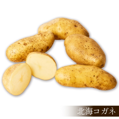 北海道産 新じゃが ホッカイコガネ 5kg 上士幌町 須田農場 野菜 じゃがいも