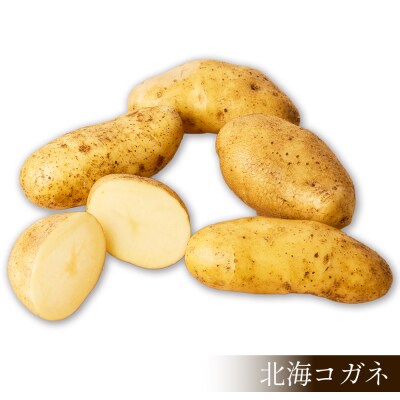 北海道産 新じゃが ホッカイコガネ 5kg 上士幌町 須田農場 野菜 じゃがいも