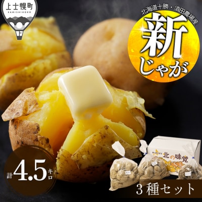 北海道産 新じゃが 3種セット 計4.5kg 上士幌町 須田農場 野菜 じゃがいも