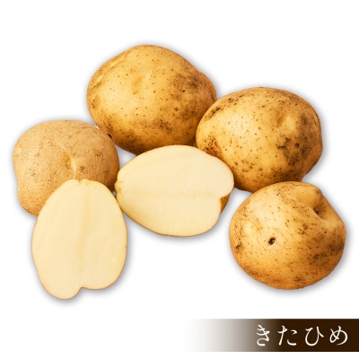 北海道産 新じゃが 3種セット 計4.5kg 上士幌町 須田農場 野菜 じゃがいも
