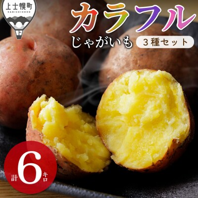 北海道産 カラフル じゃがいも 3種セット 計6kg 上士幌町 加藤農場 野菜