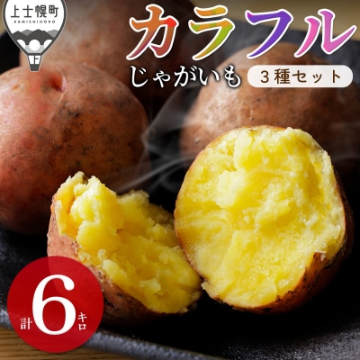 北海道産 カラフル じゃがいも 3種セット 計6kg 上士幌町 加藤農場 野菜