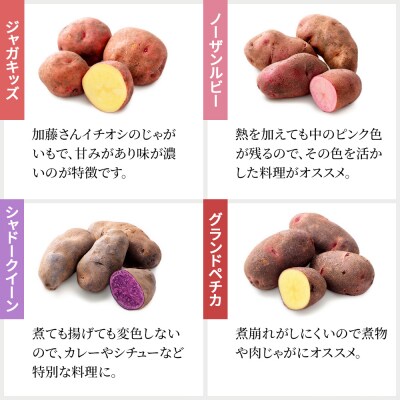 北海道産 カラフル じゃがいも 3種セット 計6kg 上士幌町 加藤農場 野菜