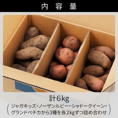 北海道産 カラフル じゃがいも 3種セット 計6kg 上士幌町 加藤農場 野菜