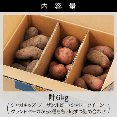 北海道産 カラフル じゃがいも 3種セット 計6kg 上士幌町 加藤農場 野菜