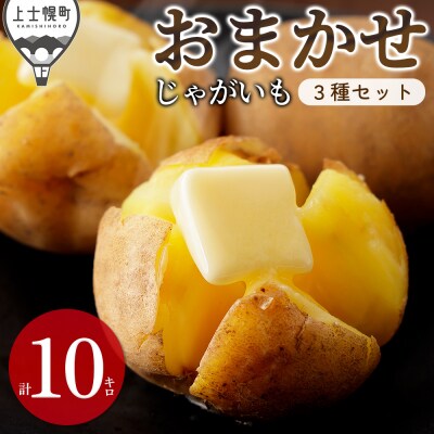北海道産 おまかせ じゃがいも 4種セット 計10kg 上士幌町 加藤農場 野菜