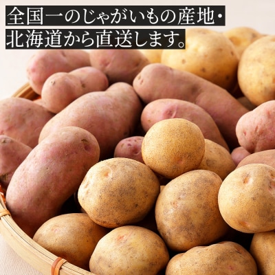 北海道産 おまかせ じゃがいも 4種セット 計10kg 上士幌町 加藤農場 野菜