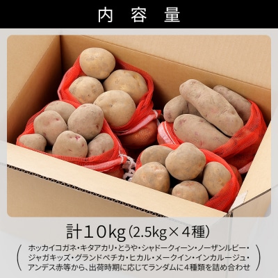 北海道産 おまかせ じゃがいも 4種セット 計10kg 上士幌町 加藤農場 野菜