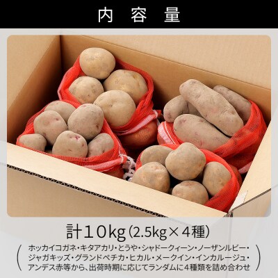 北海道産 おまかせ じゃがいも 4種セット 計10kg 上士幌町 加藤農場 野菜