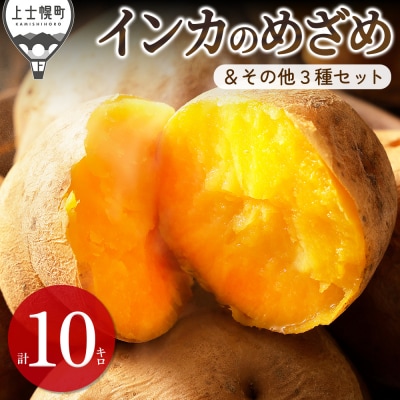 北海道産 インカのめざめ その他3種 じゃがいも セット 計10kg 上士幌町 加藤農場 野菜