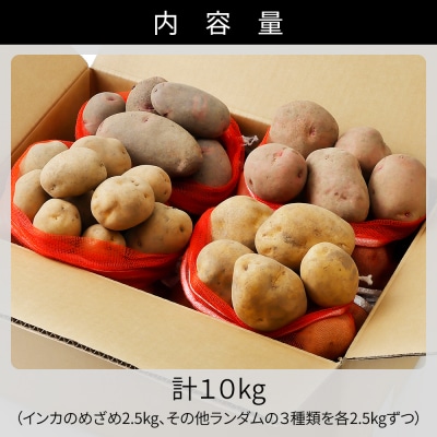 北海道産 インカのめざめ その他3種 じゃがいも セット 計10kg 上士幌町 加藤農場 野菜