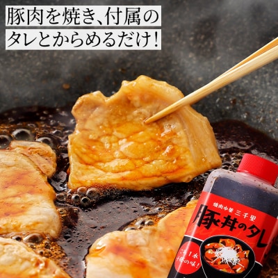 豚丼 ぶたどん 約8人前 計800g 三千里 秘伝のタレ 十勝名物 ご当地グルメ