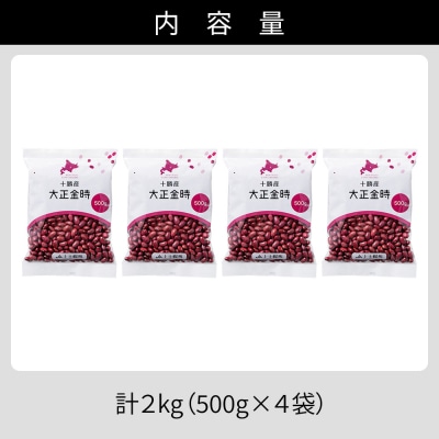 2025年産 十勝産 大正金時 計2kg(500g×4袋) 北海道 JA上士幌町