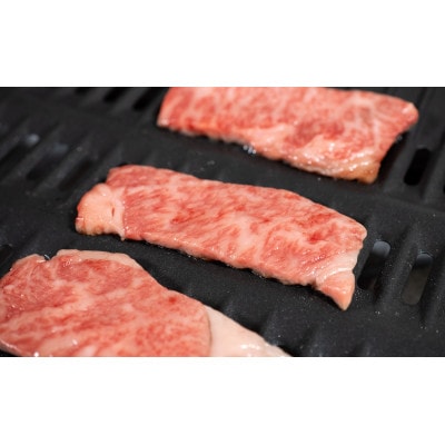 【A4/A5ランク黒毛和牛】びらとり和牛 上カルビ焼 500g