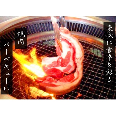 贅沢!北海道ラム肉づくしセット(3月発送・ミニパックラムスライス付き)