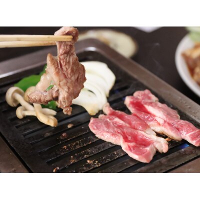 北海道民おすすめ定番の特別な日へ『生ラム肩ロース』350g×2計700g 35mlタレ4袋付き