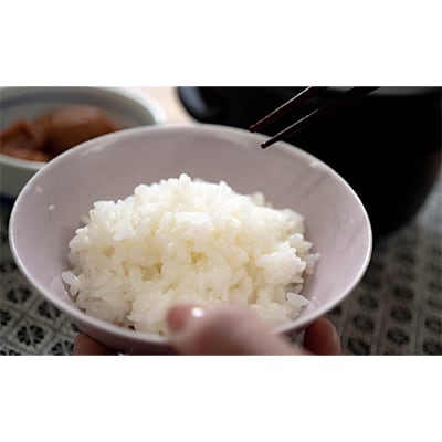 【毎月定期便】北海道で1番人気!「ニシパの恋人」ななつぼし5kg　全12回