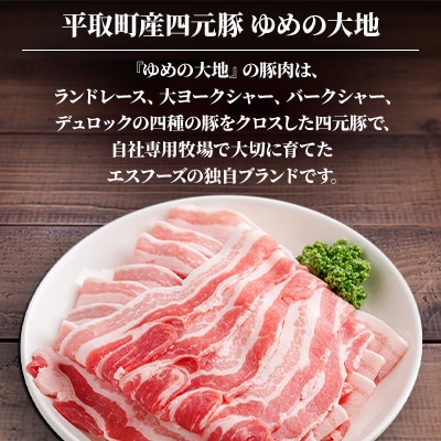 【平取町産四元豚】ゆめの大地豚バラスライス　200g×15パック計3kg