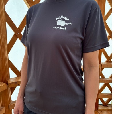 【日本百名山】幌尻岳記念Tシャツ(S)グレー