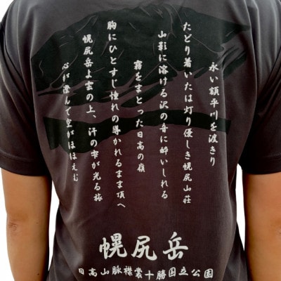 【日本百名山】幌尻岳記念Tシャツ(S)グレー
