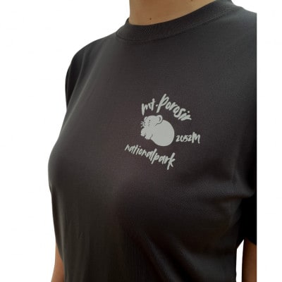 【日本百名山】幌尻岳記念Tシャツ(S)グレー