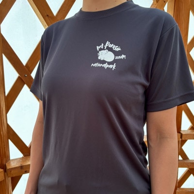 【日本百名山】幌尻岳記念Tシャツ(M)グレー