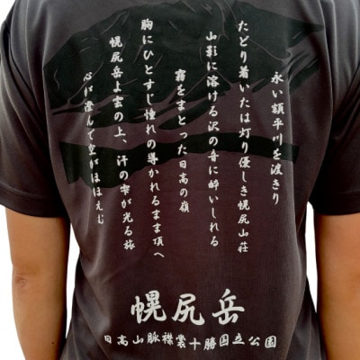 【日本百名山】幌尻岳記念Tシャツ(M)グレー