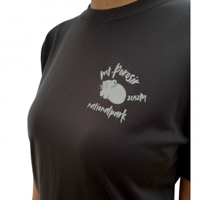 【日本百名山】幌尻岳記念Tシャツ(M)グレー