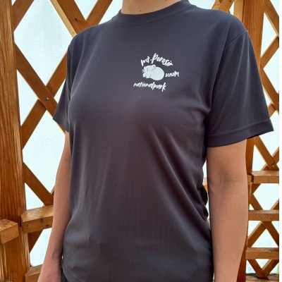 【日本百名山】幌尻岳記念Tシャツ(L)グレー