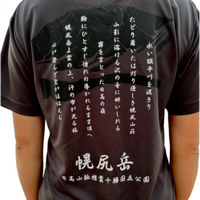 【日本百名山】幌尻岳記念Tシャツ(L)グレー