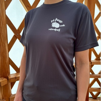 【日本百名山】幌尻岳記念Tシャツ(XL)グレー