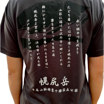 【日本百名山】幌尻岳記念Tシャツ(XL)グレー