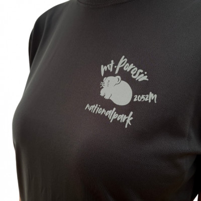 【日本百名山】幌尻岳記念Tシャツ(XL)グレー