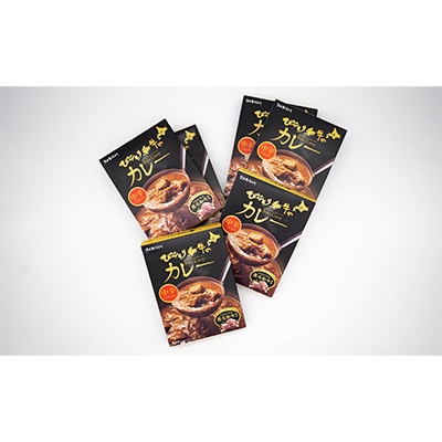 びらとり和牛カレー中辛200g×6箱