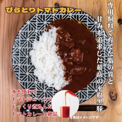 びらとり和牛カレー中辛・びらとりトマトカレー・ミートソースセット(各2箱)