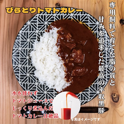 びらとり和牛カレー中辛・びらとりトマトカレー・ミートソースセット(各2箱)