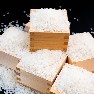 【令和7年産】ニシパの恋人「ななつぼし」10kg