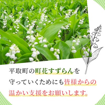 【返礼品なし】平取町の野生すずらん群生地の保全活動へ!未来にもすずらん観賞できる環境づくり