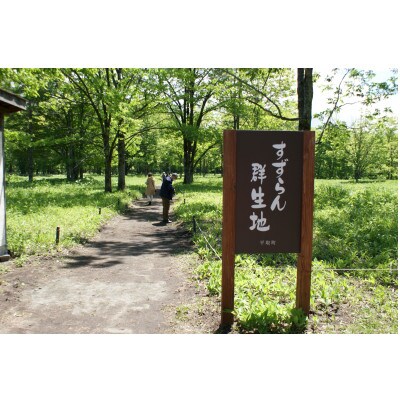 【返礼品なし】平取町の野生すずらん群生地の保全活動へ!未来にもすずらん観賞できる環境づくり