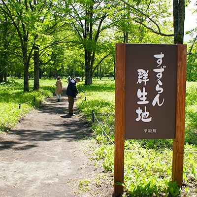 【返礼品なし】平取町の野生すずらん群生地の保全活動へ!未来にもすずらん観賞できる環境づくり