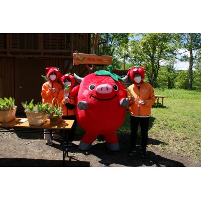 【返礼品なし】平取町の野生すずらん群生地の保全活動へ!未来にもすずらん観賞できる環境づくり