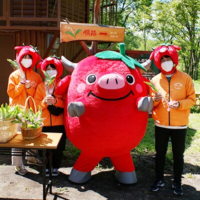 【返礼品なし】平取町の野生すずらん群生地の保全活動へ!未来にもすずらん観賞できる環境づくり