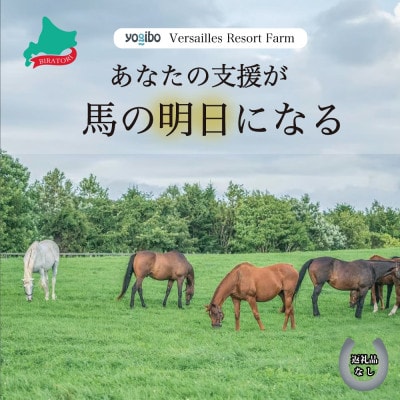 【返礼品なし】より多くの引退馬の幸せな余生を願う　Yogiboヴェルサイユリゾートファーム