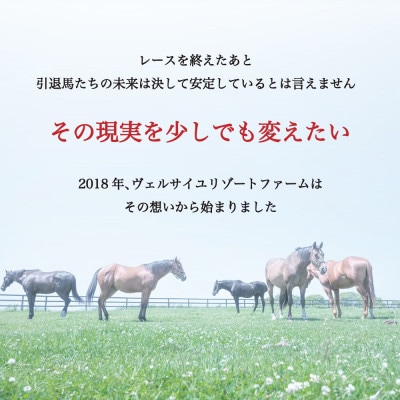 【返礼品なし】より多くの引退馬の幸せな余生を願う　Yogiboヴェルサイユリゾートファーム