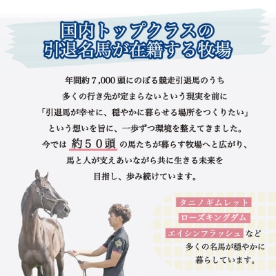 【返礼品なし】より多くの引退馬の幸せな余生を願う　Yogiboヴェルサイユリゾートファーム