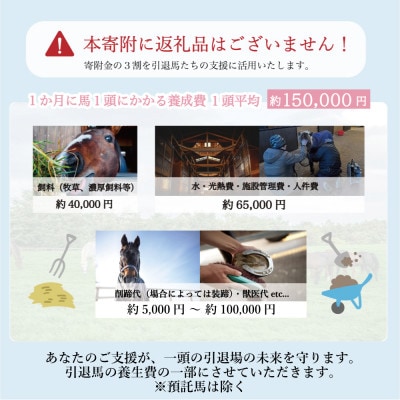 【返礼品なし】より多くの引退馬の幸せな余生を願う　Yogiboヴェルサイユリゾートファーム