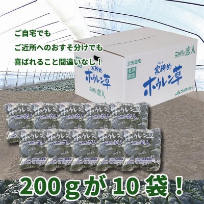 【先行予約/12月中旬以降発送】【北海道平取町産】寒締めホウレン草(ちぢみホウレン草)
